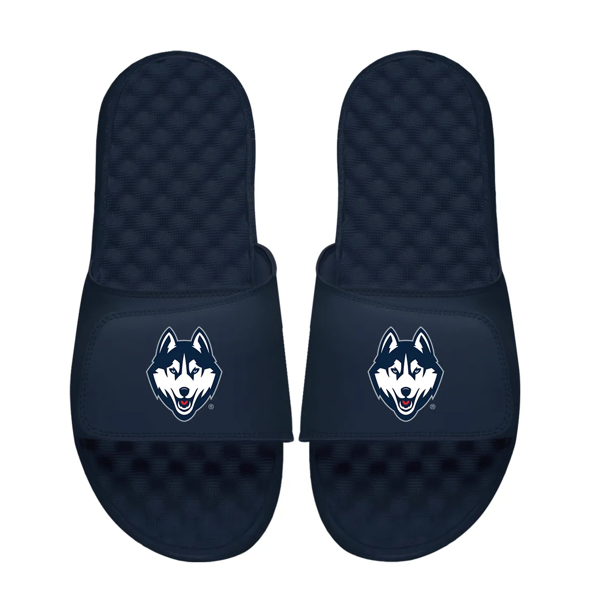 UConn Huskies Primary Logo