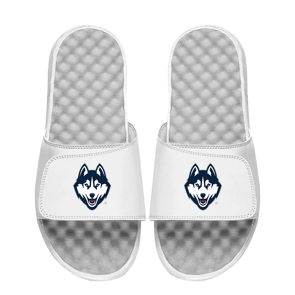 UConn Huskies Primary Logo